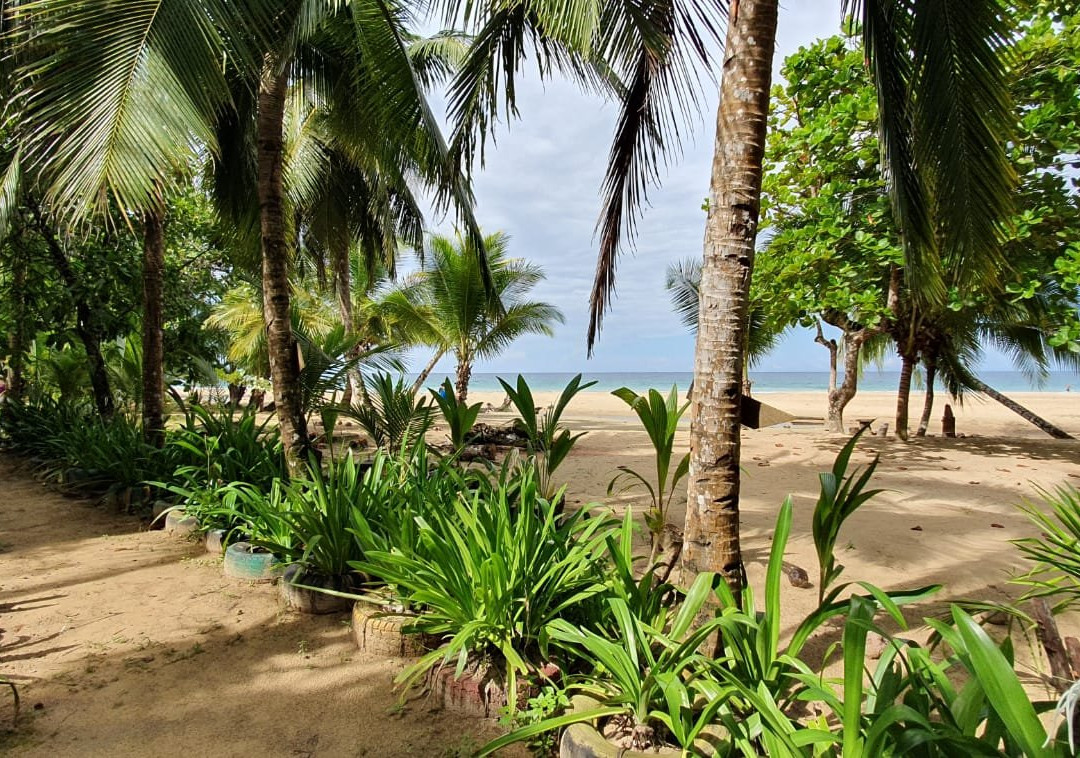 Al Natural Resort主图