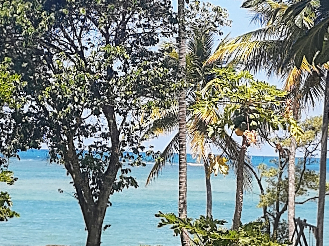 Bahia Terra Turismo E Eventos景点图片