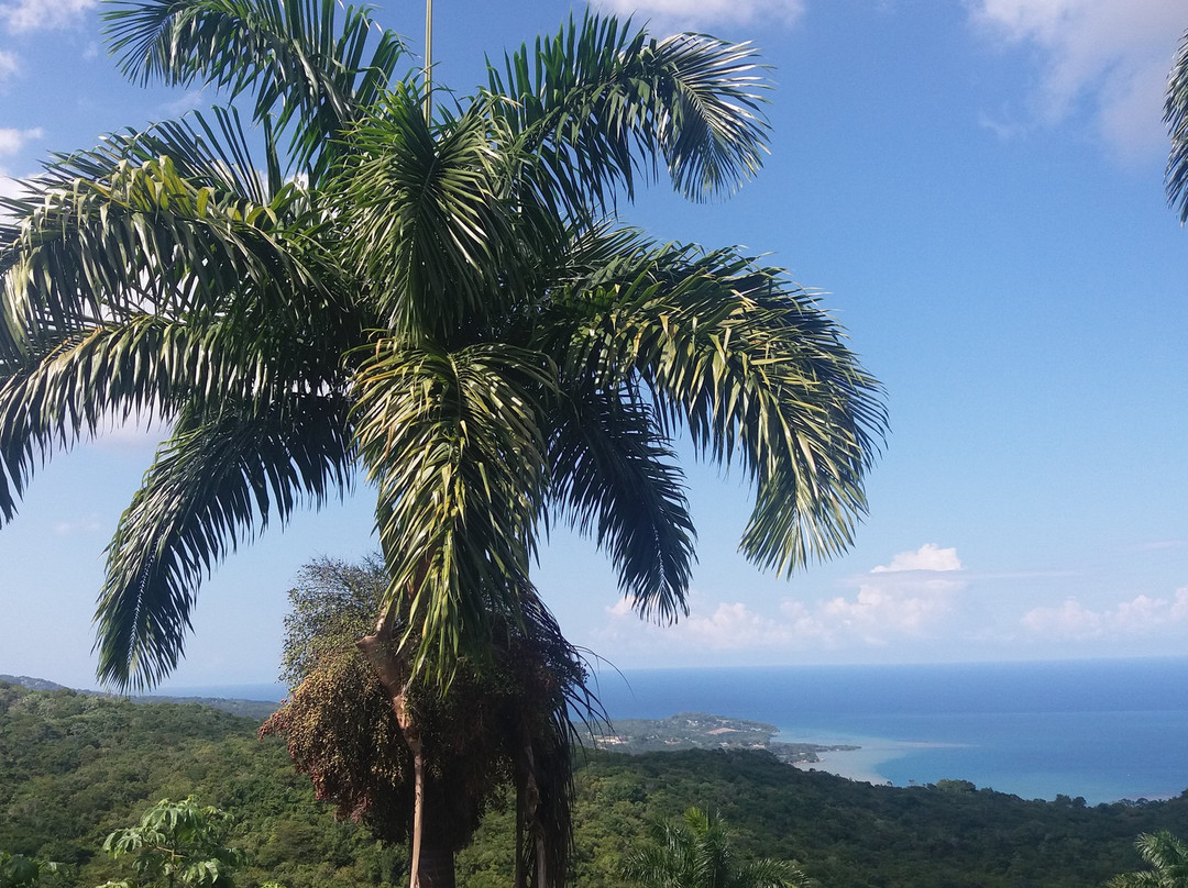 Waterfield Retreat主图