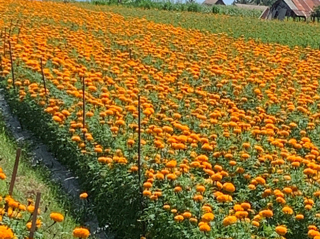 Bakas Cooking Class-Banjarangkan必去景点