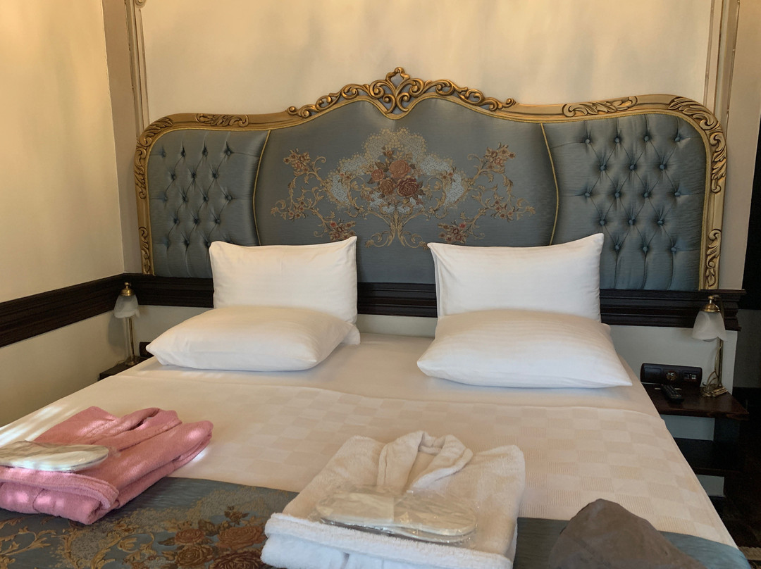 Hotel Edirne Osmanli Evleri主图