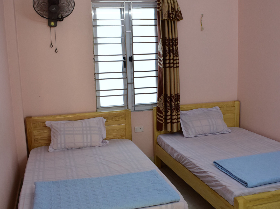 Cat Ba Sweet Potato主图