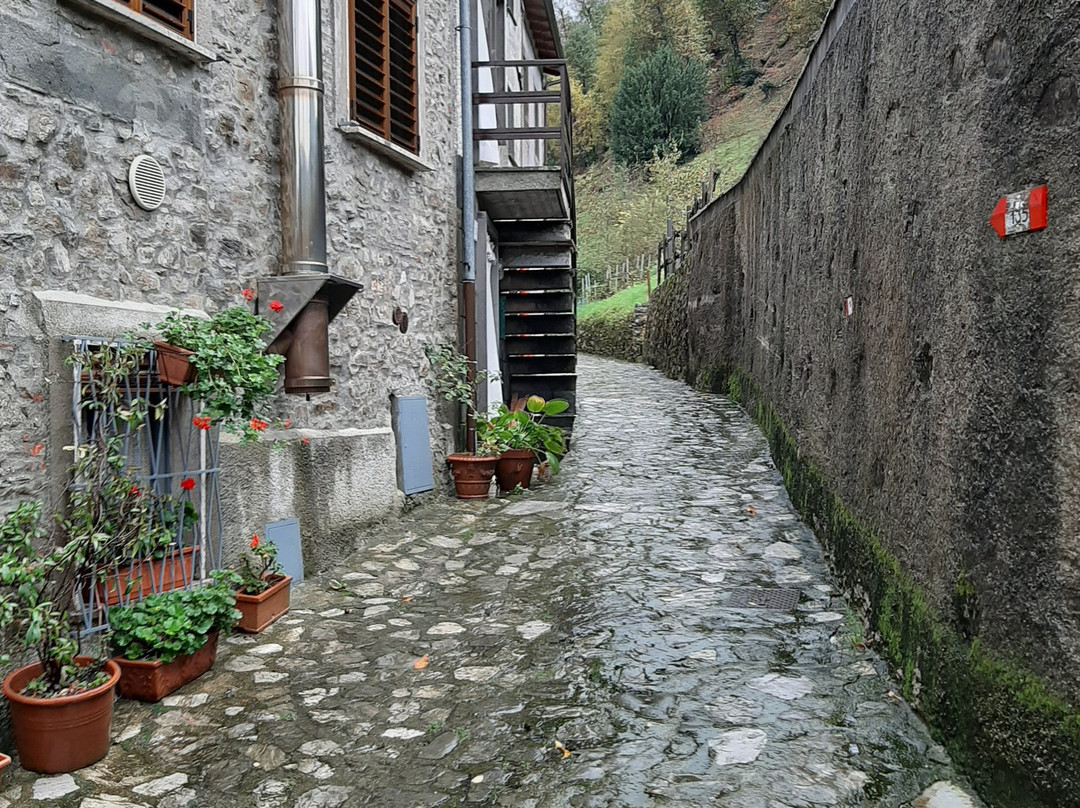 Bed and Breakfast - Principessa Turlonia主图