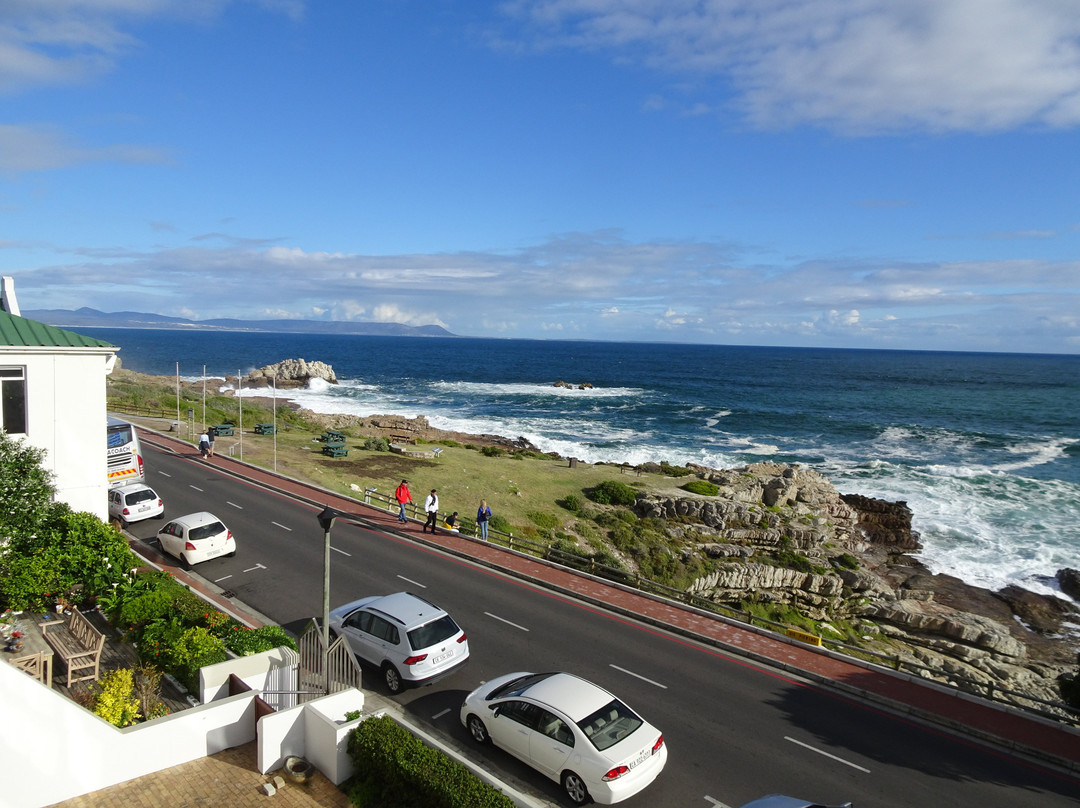 Windsor Hotel & Apartments主图