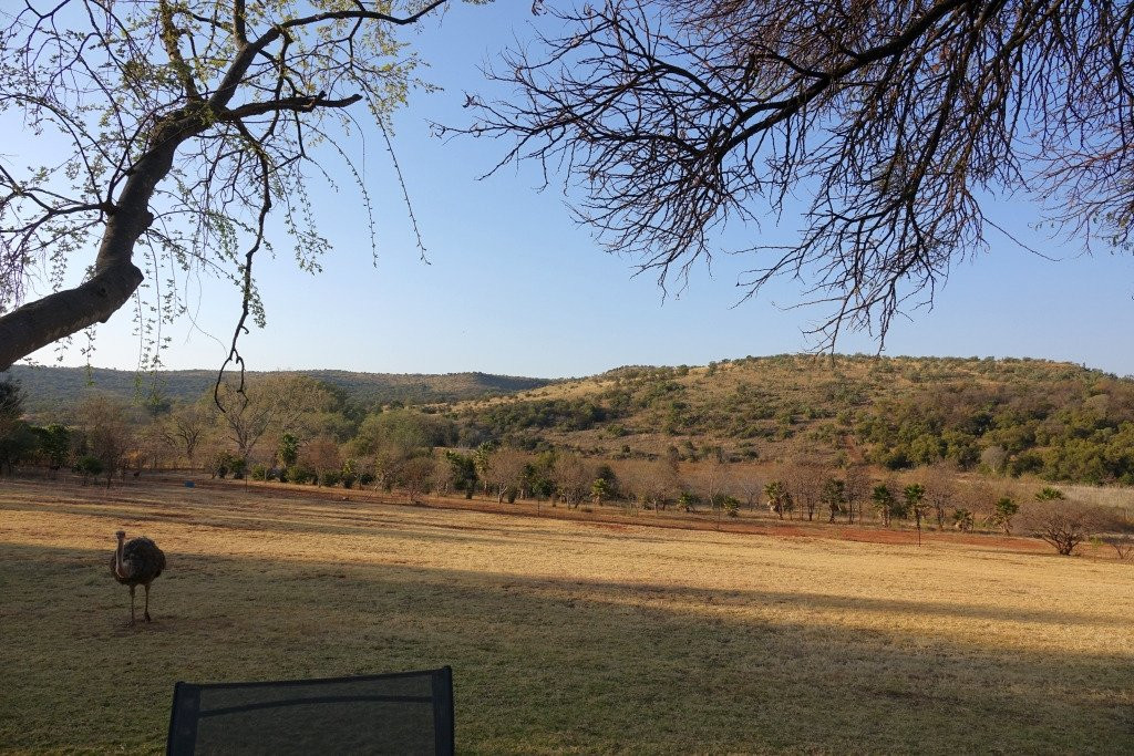 WoodRidge Palms Boutique Hotel主图