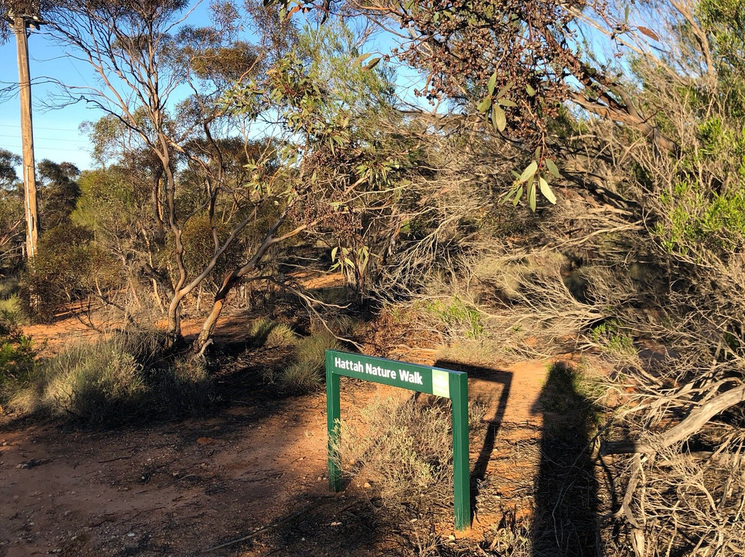Hattah Nature Walk-Ouyen必去景点
