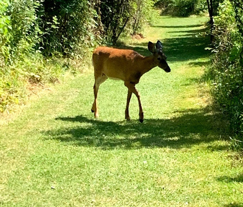 多伦多汉伯植物园-多伦多必去景点