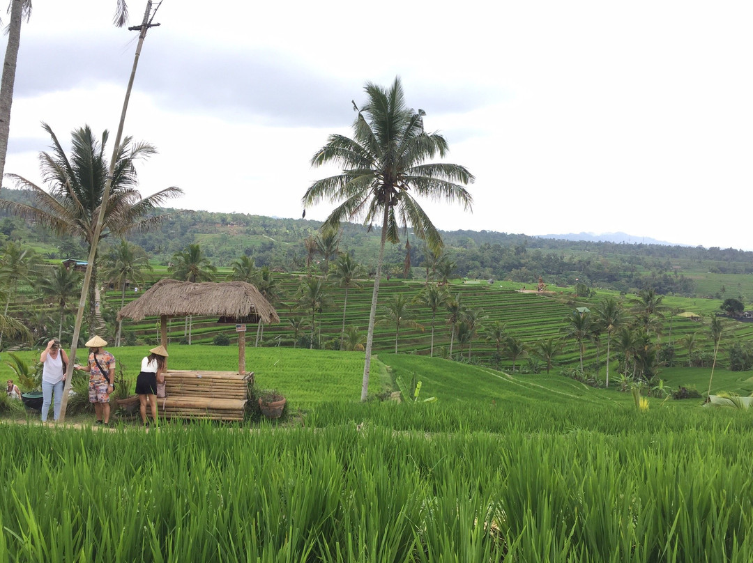 Lais Bali Driver-登巴萨必去景点