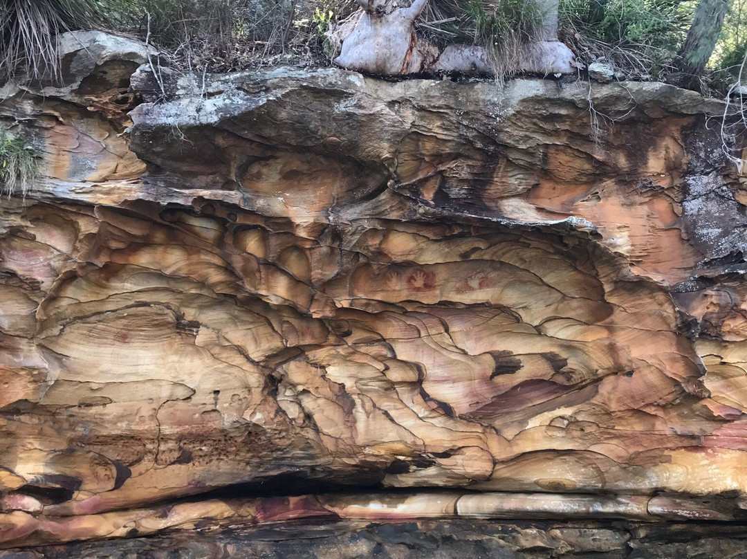 Sydney Outback景点图片