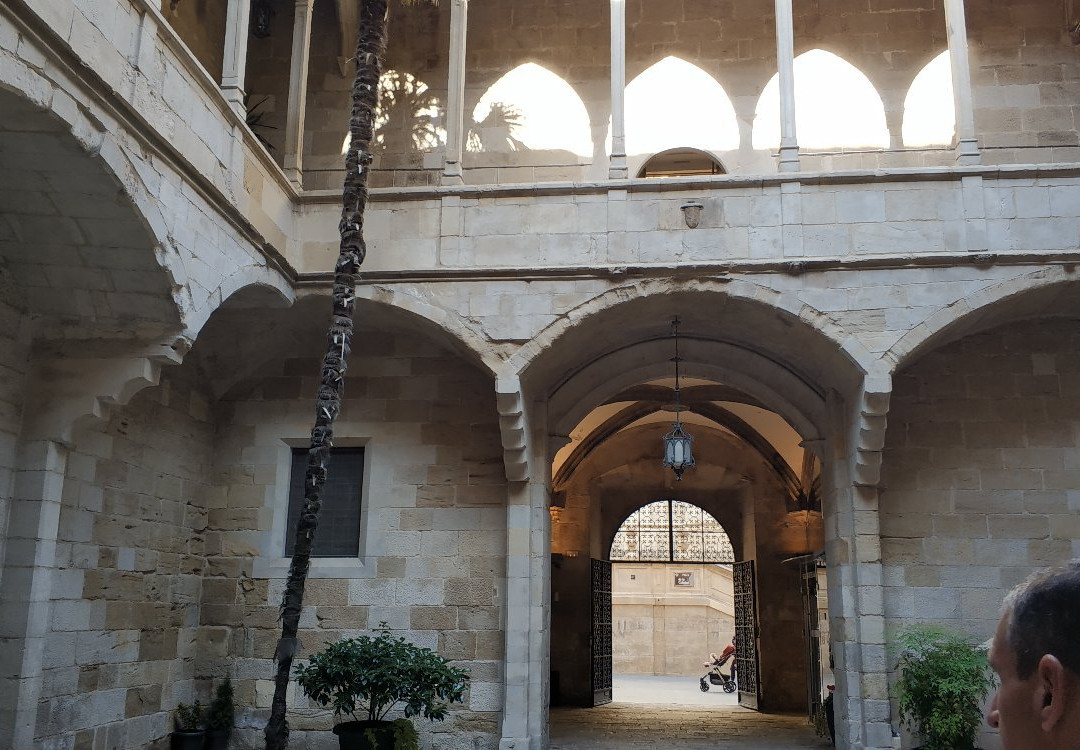 Antiguo Hospital de Santa Maria景点图片