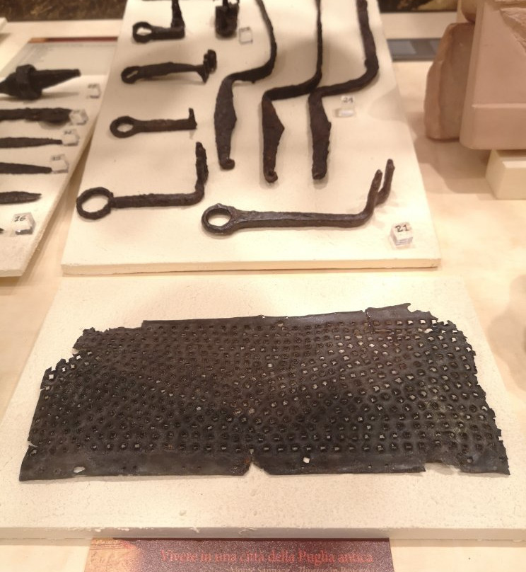 Museo Nazionale Archeologico di Gioia del Colle-Gioia del Colle必去景点