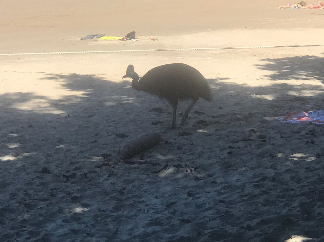 Etty Bay-因尼斯费尔必去景点