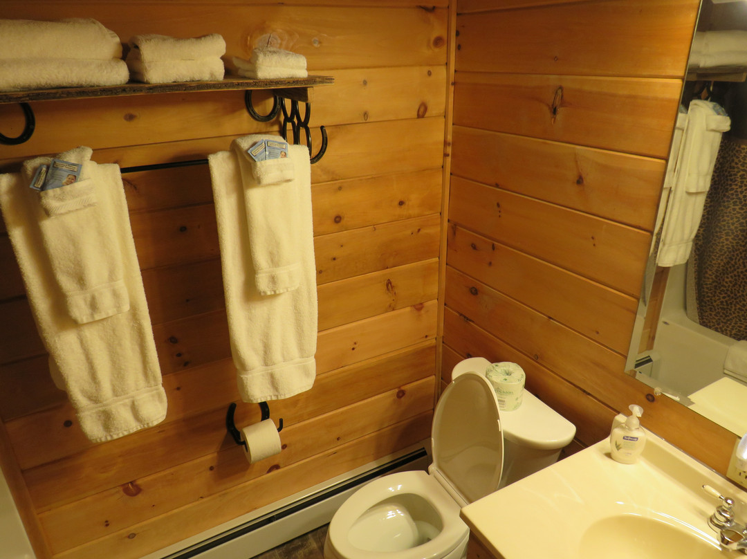 Log Cabin Lodge and Suites主图
