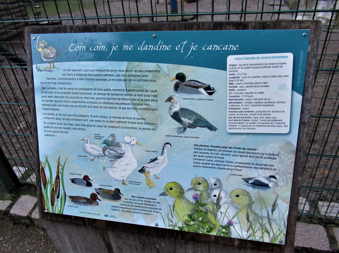 Parc des Gondoles-Choisy-le-roi必去景点