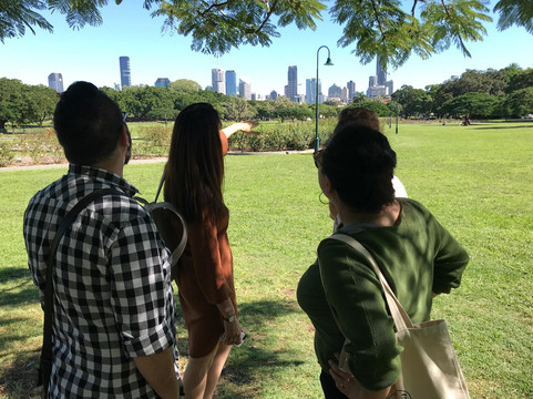 curious in brisbane-布里斯班必去景点