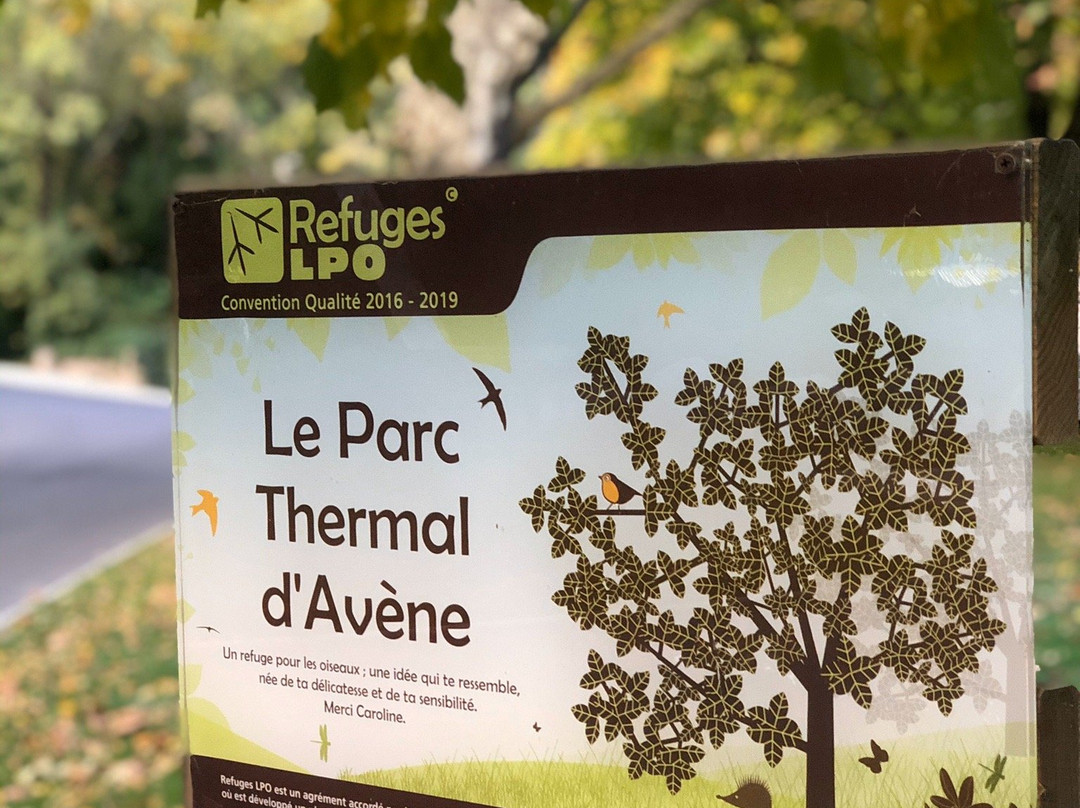 Eau Thermale Avène L'hôtel主图