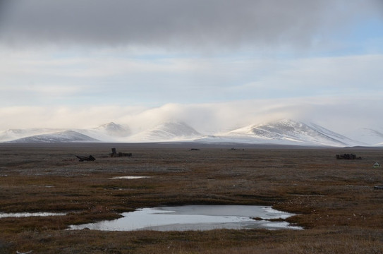 Sovetskaya Mountain-Wrangel Island必去景点