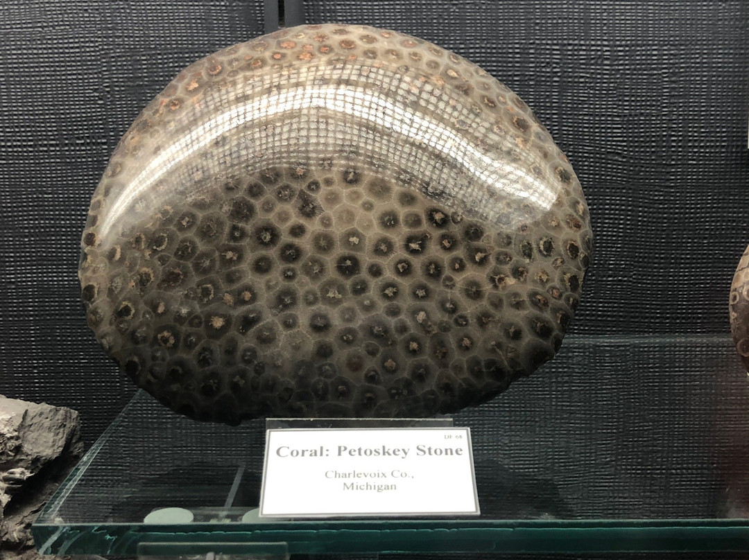 A. E. Seaman Mineral Museum of Michigan Tech-霍顿必去景点