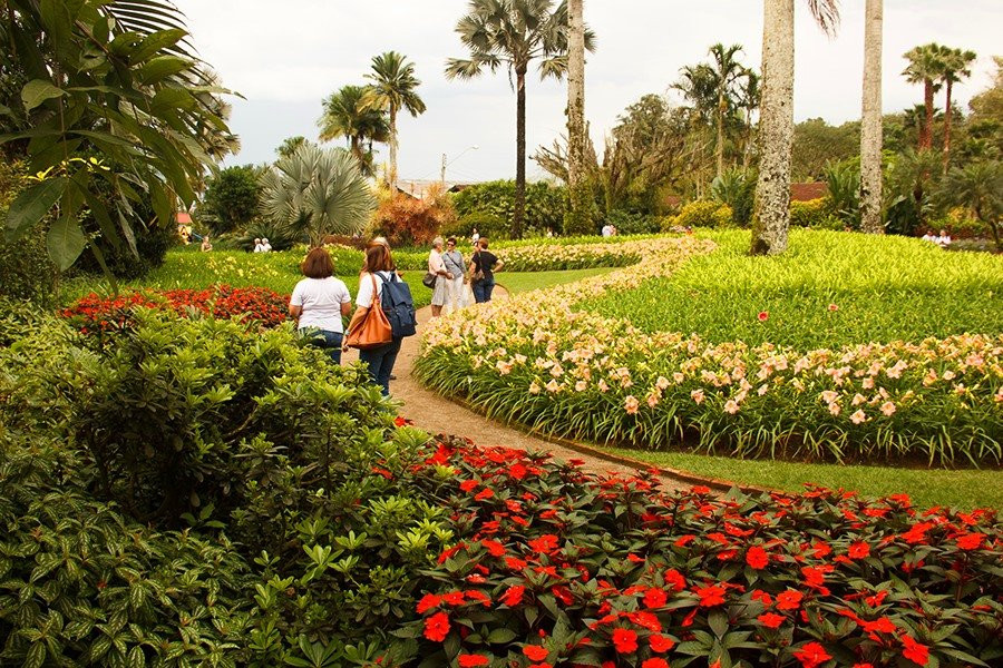 Joinville旅游景点-Hemero - Jardins Como Arte