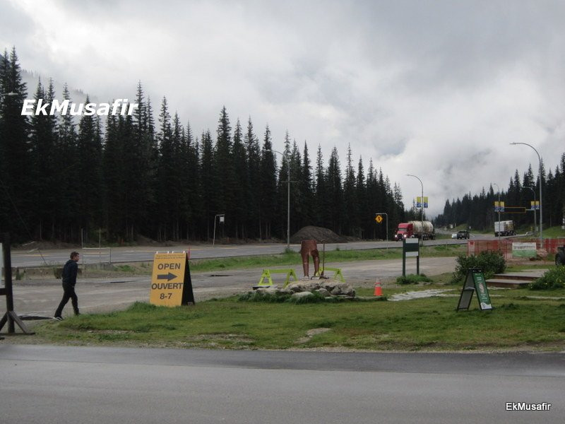 Roger's Pass Summit景点图片