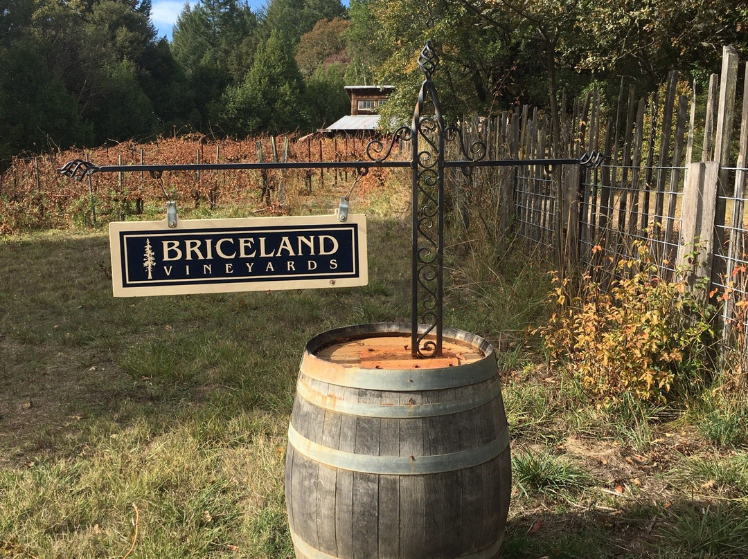 Briceland Vineyards景点图片