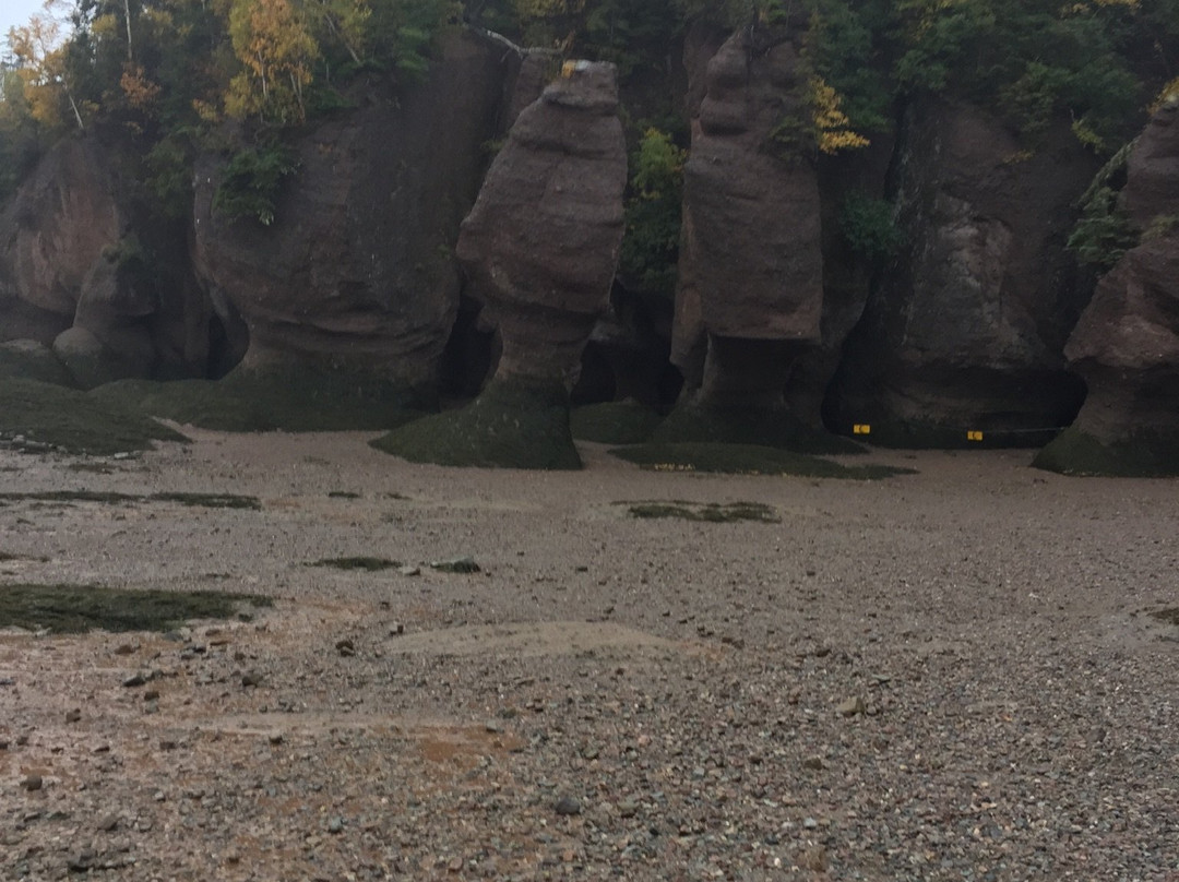 Hopewell Rocks-霍伯威尔角必去景点