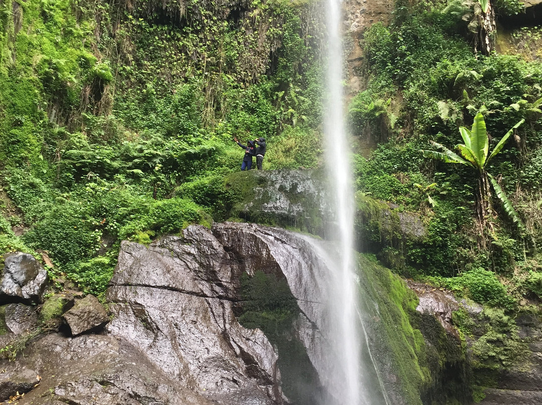 Northern Treks Tanzania-乞力马扎罗山国家公园必去景点