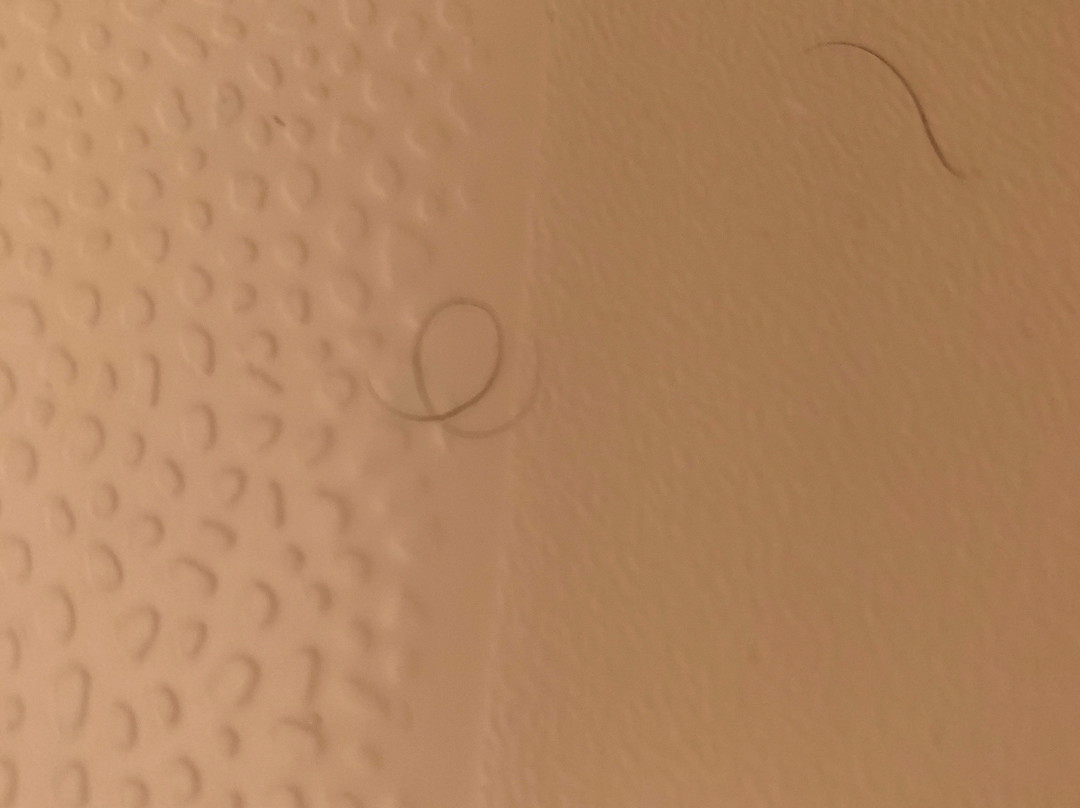 Luck Country Inn主图