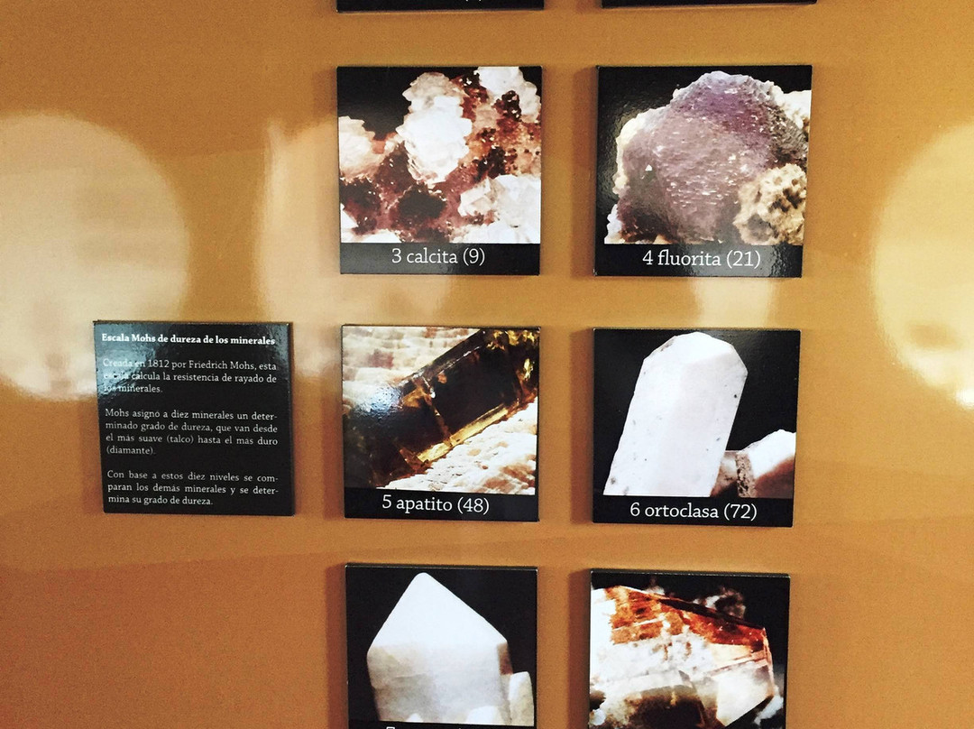 Museo de Los Metales-Torreon必去景点