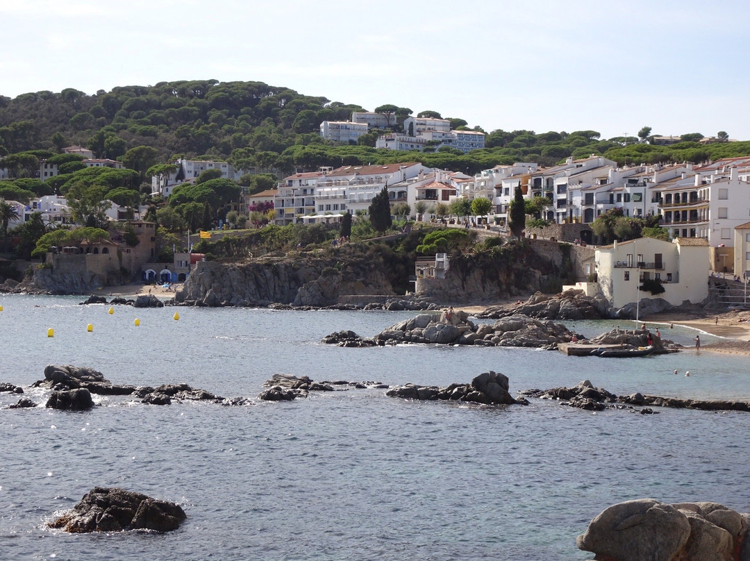 Platja del Canadell景点图片