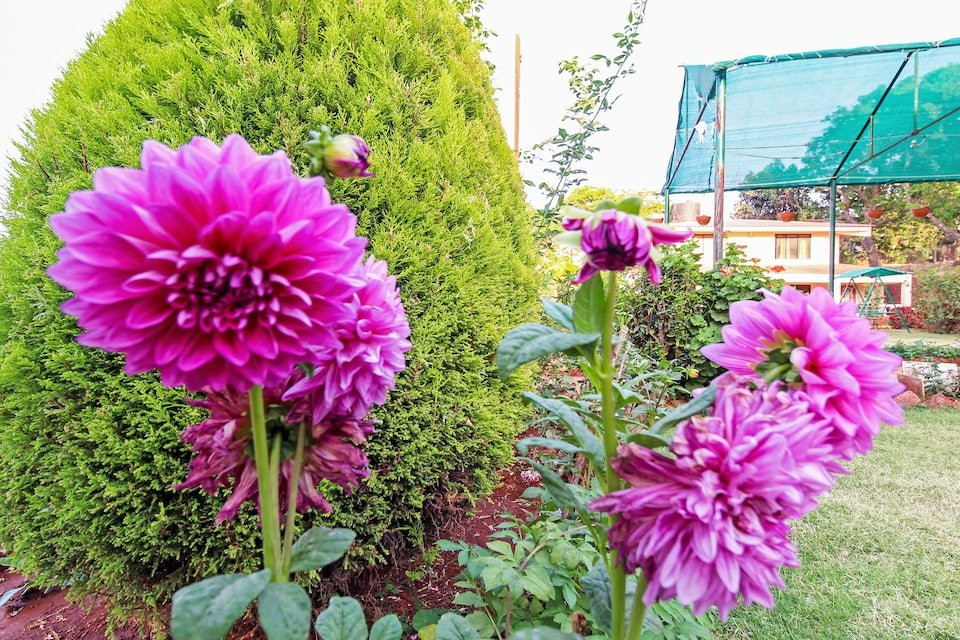 OYO 28998 Nakita Hills主图