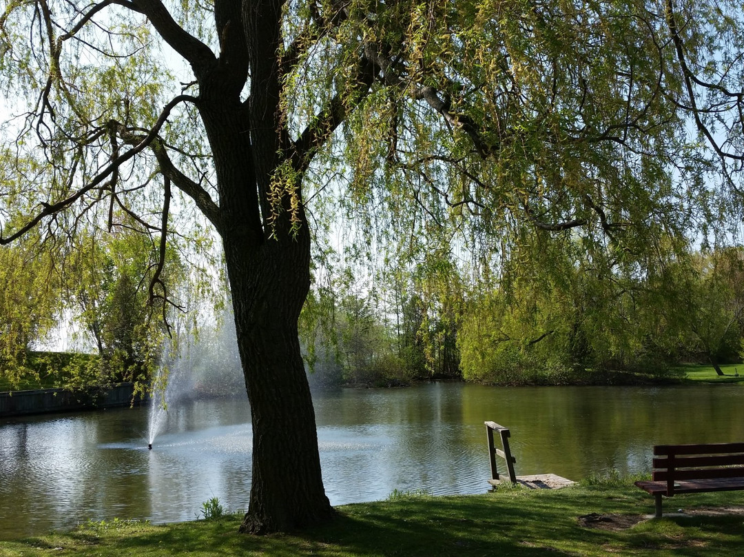 J.C. Saddington Park景点图片
