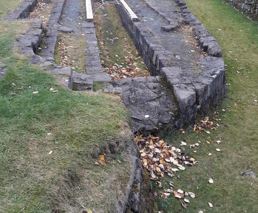 Laugardalur Park-雷克雅未克必去景点