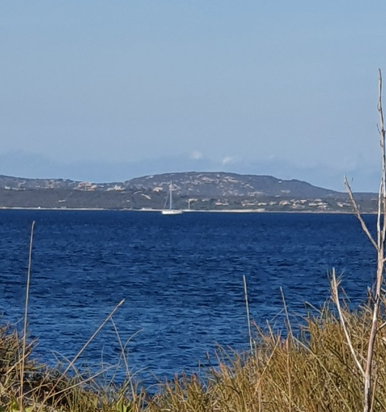 Spiaggia Saline-奥尔比亚必去景点
