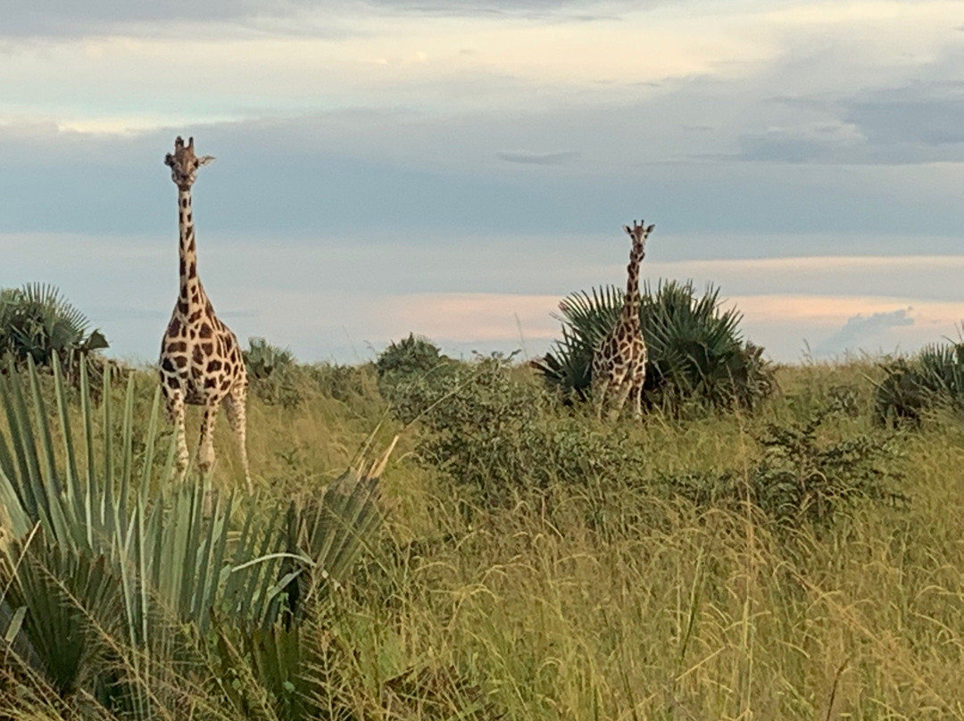 Love Uganda Safaris-坎帕拉必去景点