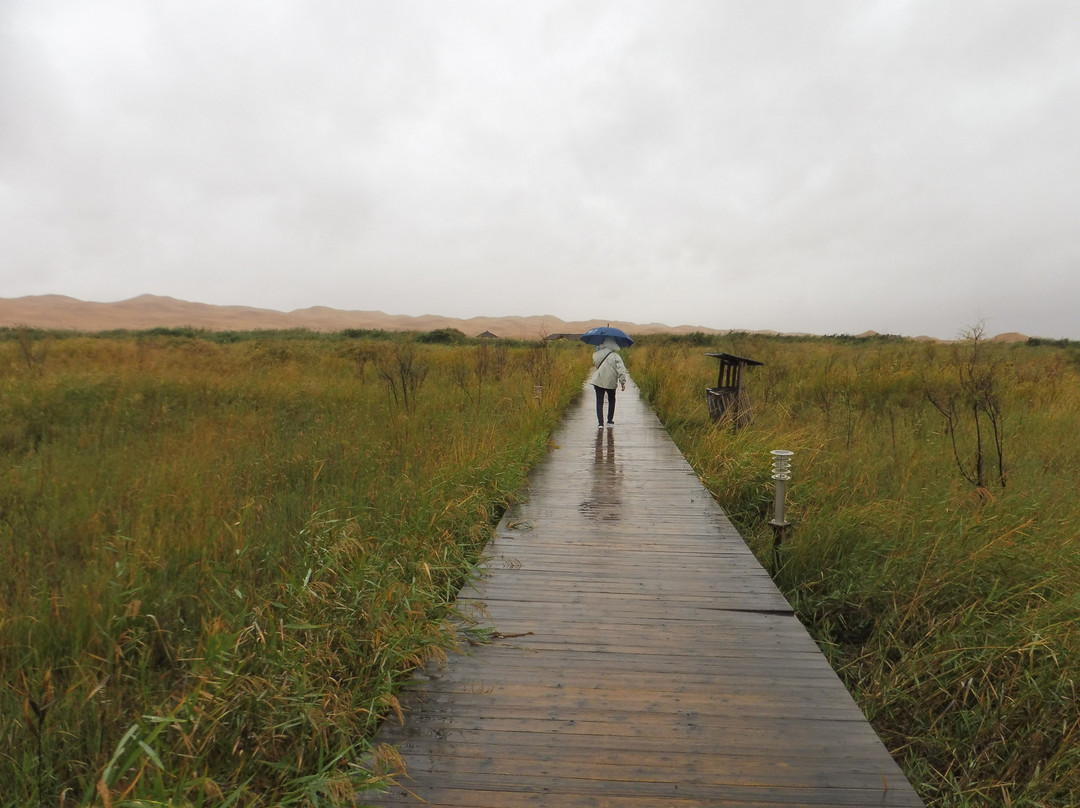 月亮湖-阿拉善左旗必去景点