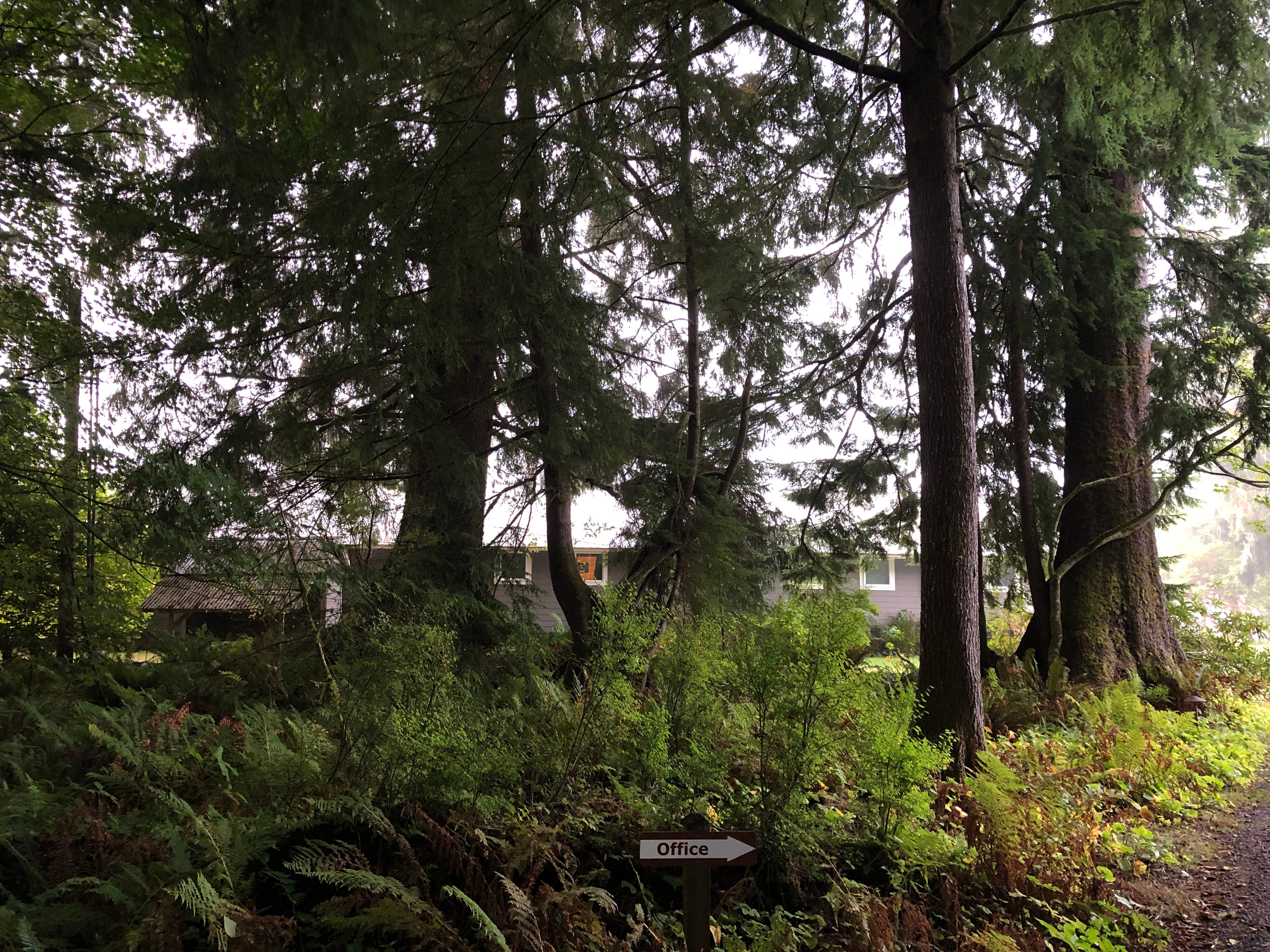 Quillayute River Resort-浴室