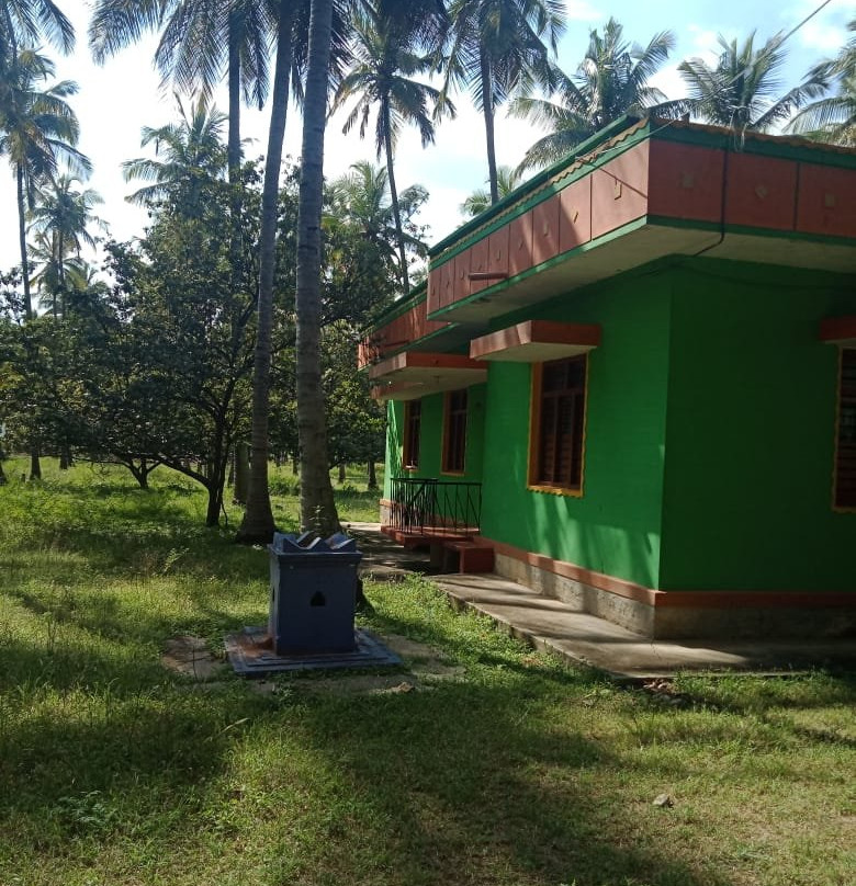 Olavipe Homestay主图