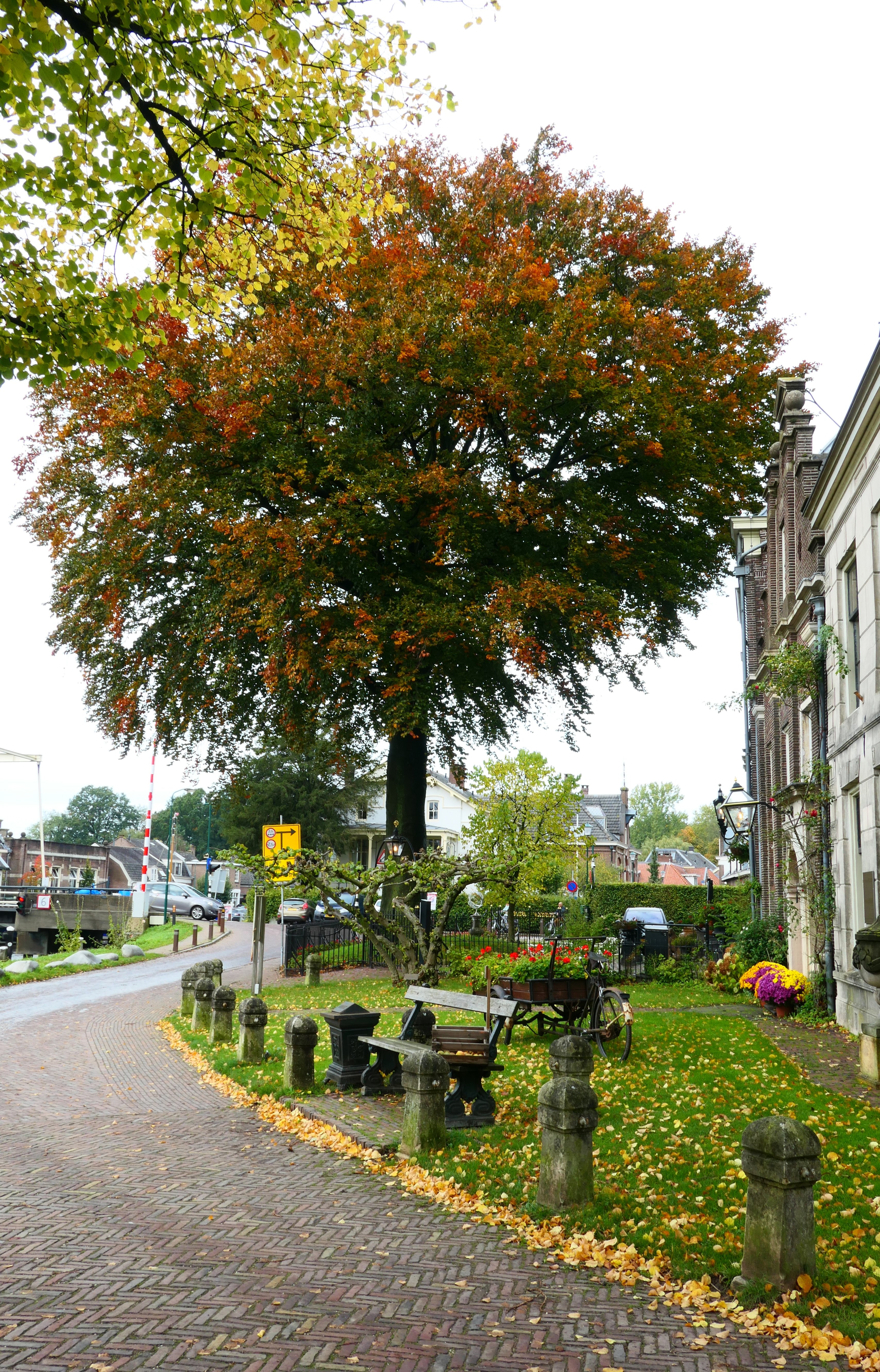 Logement Swaenenvecht-portrait
