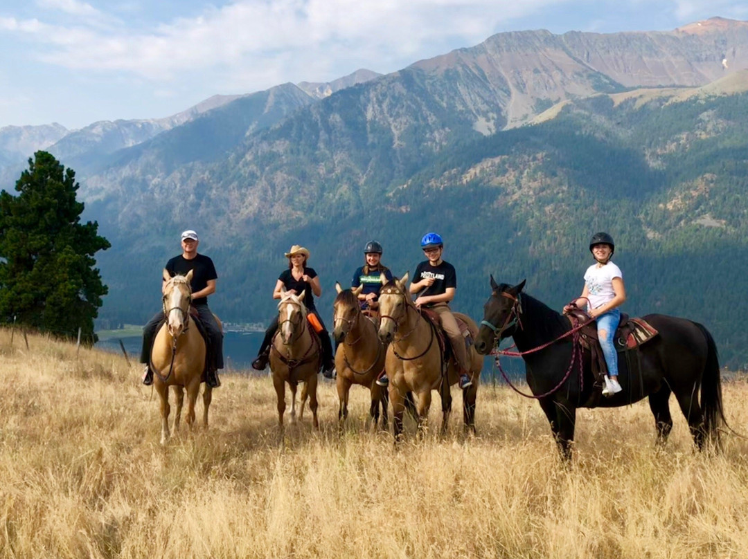 Dun The Right Way Horses