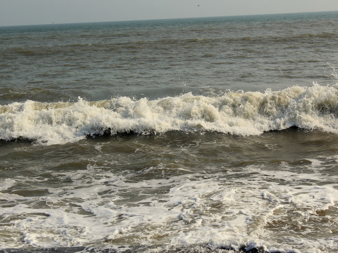 Shankarpur Beach景点图片