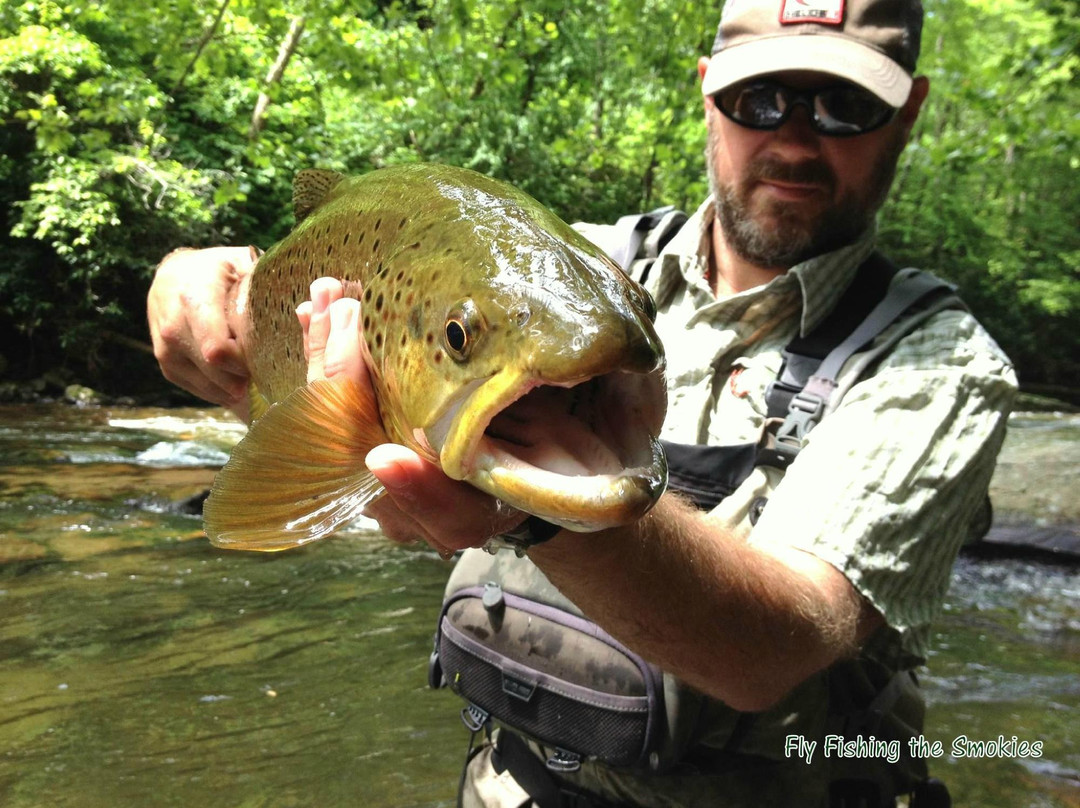 Fly Fishing the Smokies-布赖森城必去景点