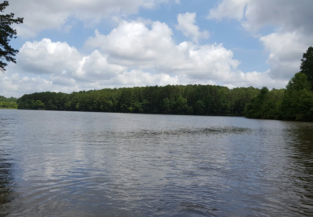 Lake Johnson Park景点图片