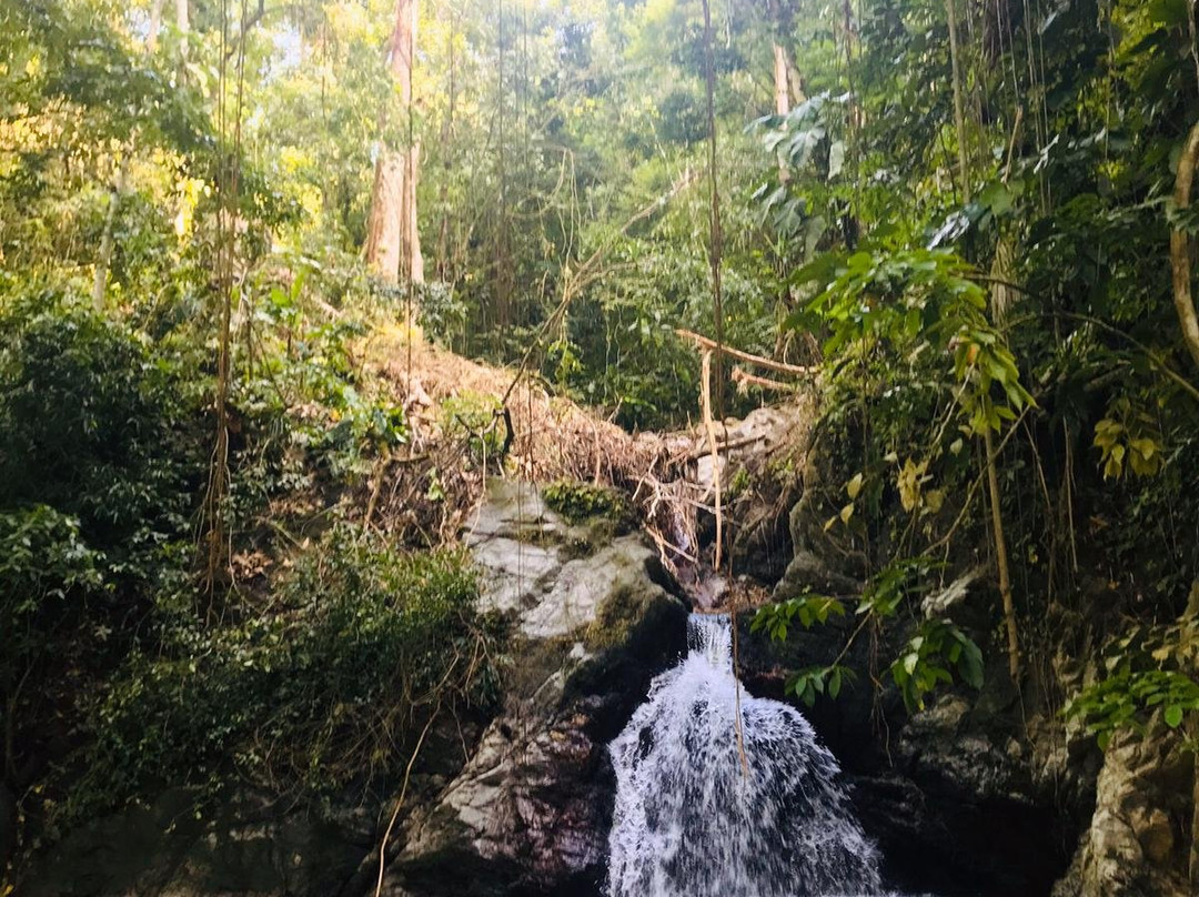 Tobago Fun Island Tours-多巴哥必去景点