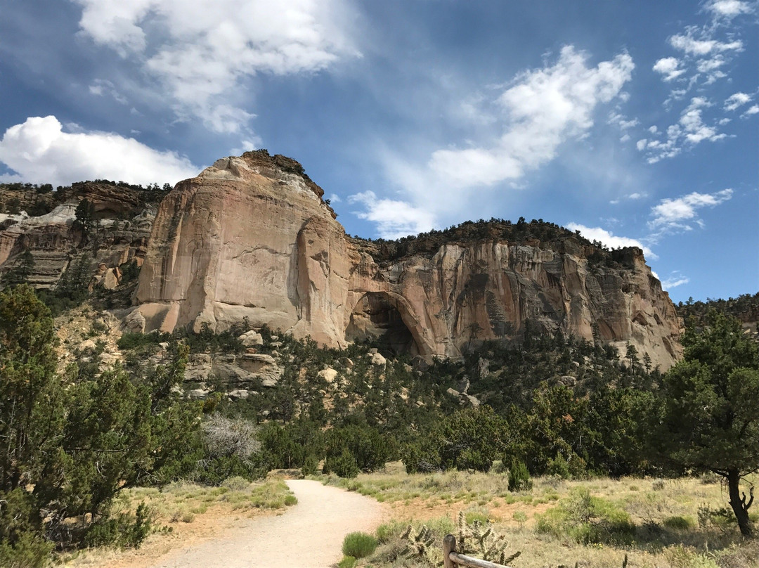 Alamo旅游景点-La Ventana Natural Arch