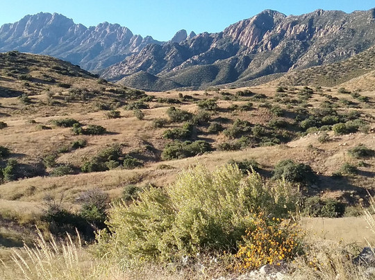 White Sands旅游景点-San Agustin Pass