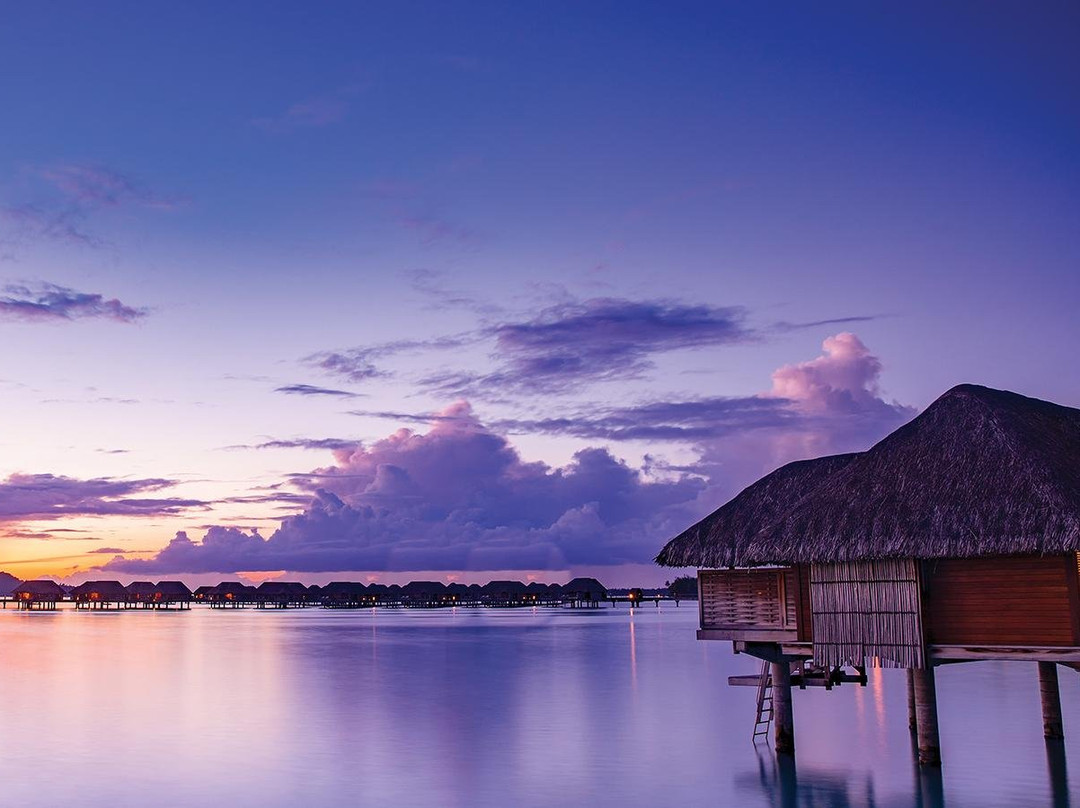 Go Next Travel-明尼阿波利斯必去景点