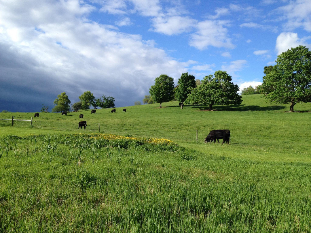 Gibbet Hill Barn and Trails-Groton必去景点