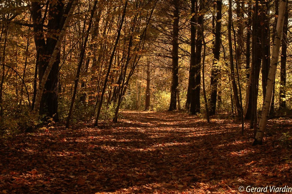 Little Falls旅游景点-Charles A. Lindbergh State Park