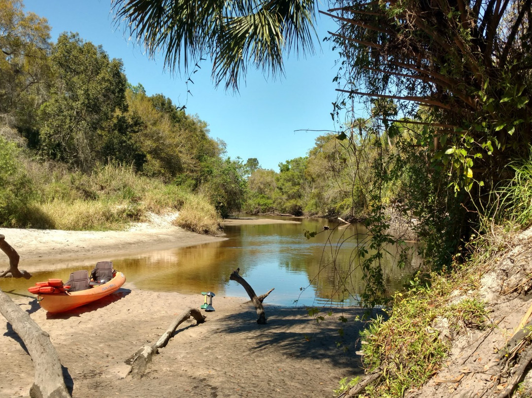 Ray's Canoe Hideaway景点图片